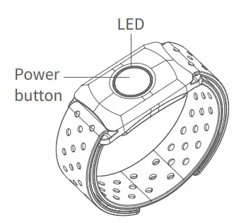 Shenzhen Chileaf Electronics CL838 Armband Heart Rate Monitor User Manual - Turn on