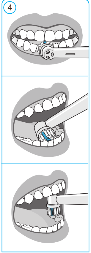 BRAUN D100 Oral-B Vitality Toothbrush - fig 6