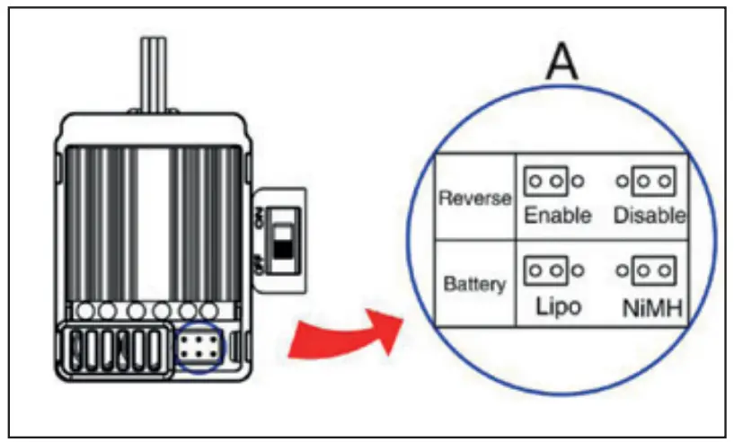 Disable the backward function