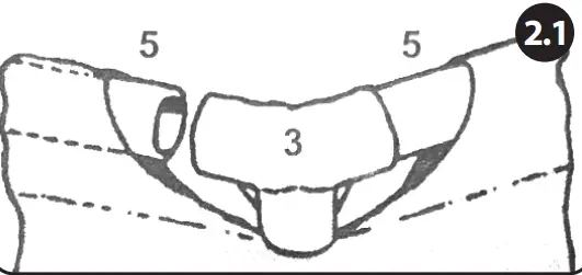Horizontal Beams Assembly
