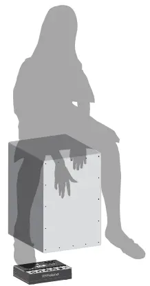 Roland ELCajon Mic Processor -