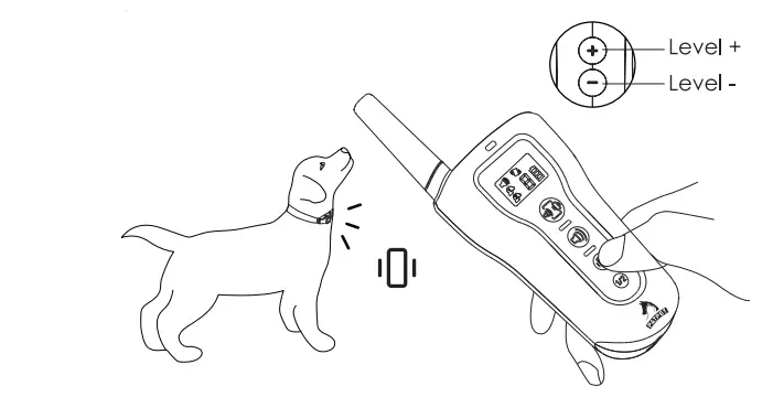 PATPET-p-collar-330-Dog-Training-Collar-FIG-11