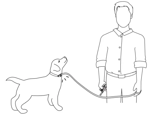 PATPET-p-collar-330-Dog-Training-Collar-FIG-13