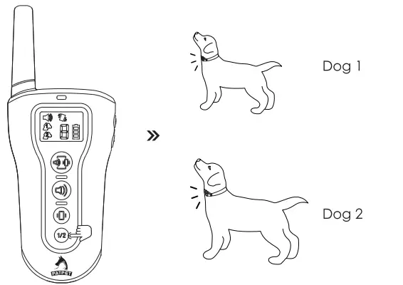 PATPET-p-collar-330-Dog-Training-Collar-FIG-19