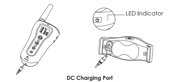 PATPET-p-collar-330-Dog-Training-Collar-FIG-5