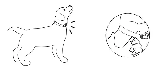 PATPET-p-collar-330-Dog-Training-Collar-FIG-8