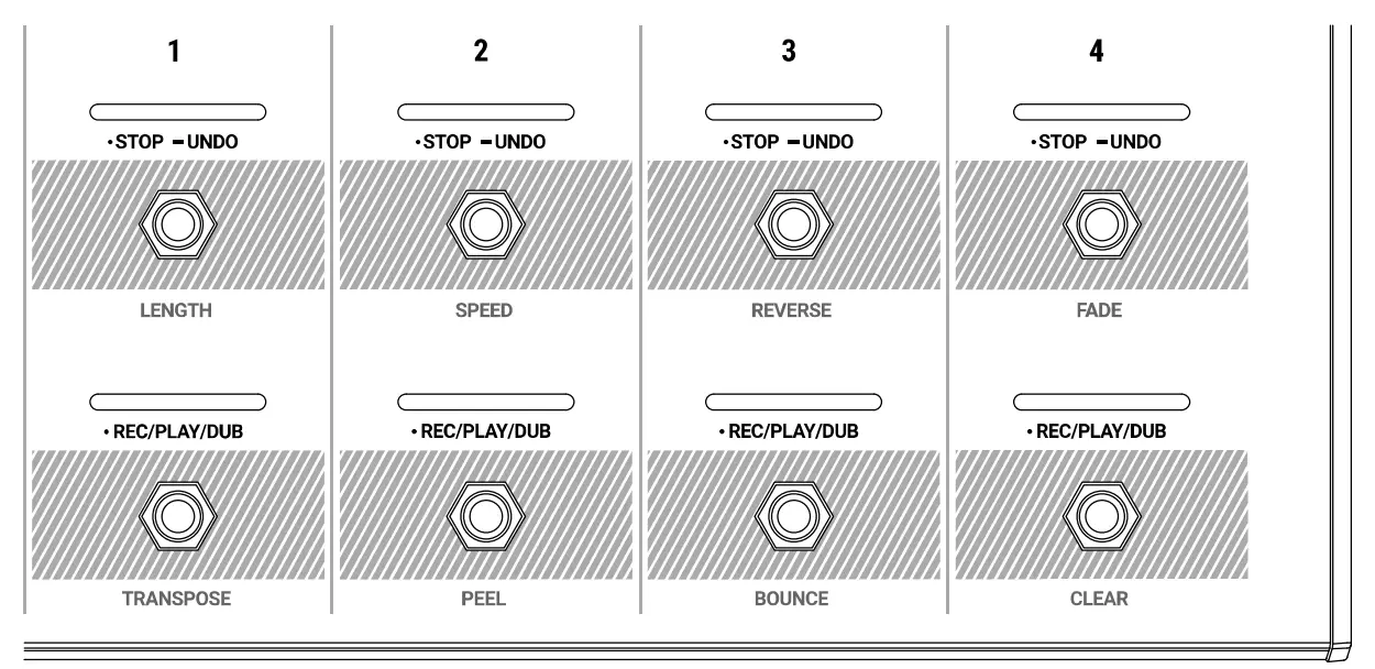 HEADRUSH Looper Board - fig 4