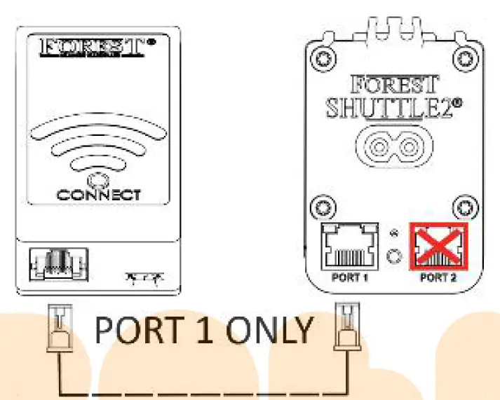 FOREST WiFi Dongle 2