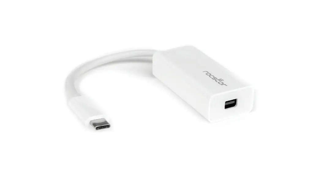 Rocstor Y10a241-w1 Usb Type C To Mini Displayport Adapter User Manual