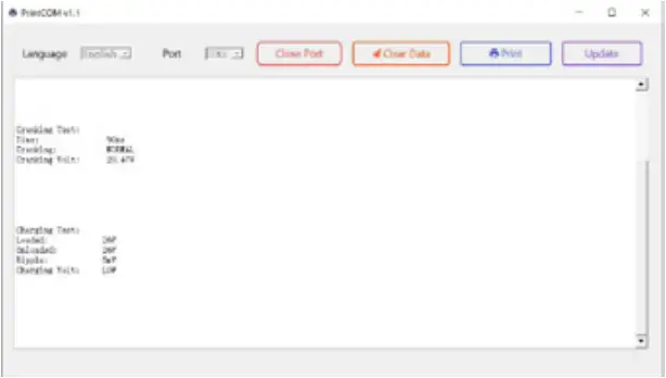 BS BATTERY BST1000 - Print Data 2
