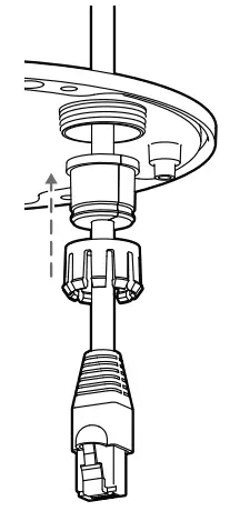 Cable gland Assembly Figure 2