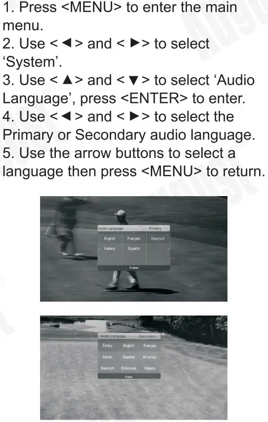 August DA100D 10.1 Inch HD Digital Analogue TV and Multimedia Player User Manual - Audio Language