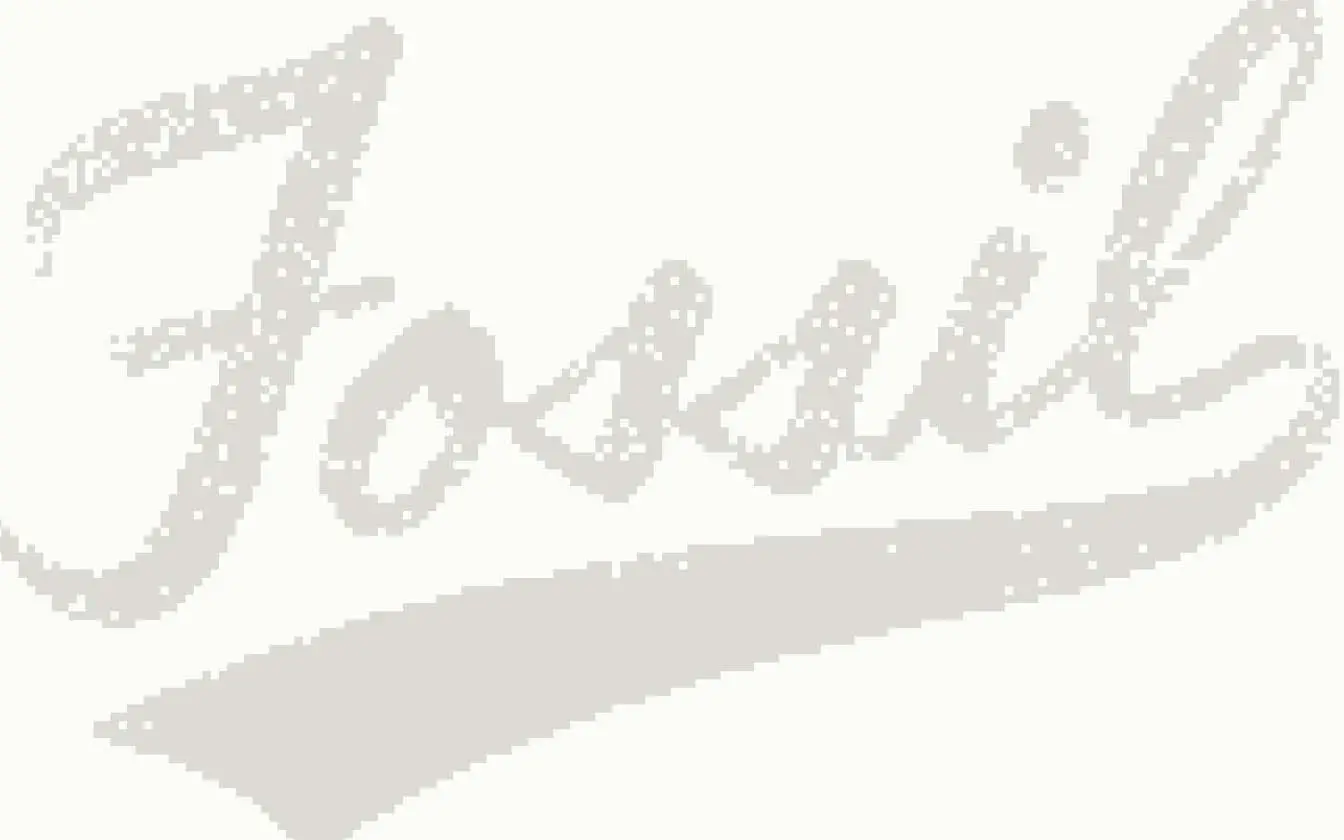 fossil logo