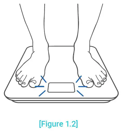 ETEKCITY ESF17 Series Smart Fitness Scale-6