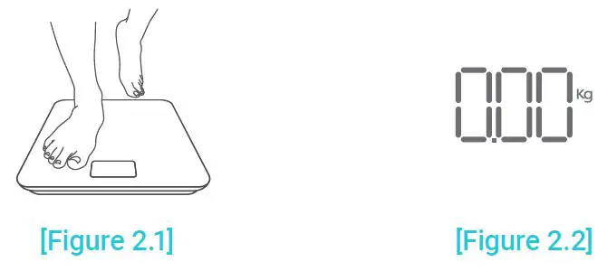 ETEKCITY ESF17 Series Smart Fitness Scale-7