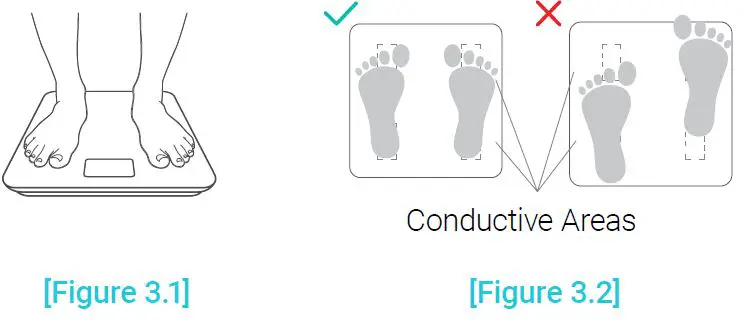 ETEKCITY ESF17 Series Smart Fitness Scale-9