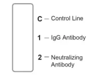 JOYSBIO G10402 SARS CoV 2 IgG Neutralizing Antibody Rapid Test Kit - NTERPRETATION OF TEST RESULTS 1