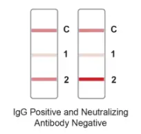 JOYSBIO G10402 SARS CoV 2 IgG Neutralizing Antibody Rapid Test Kit - NTERPRETATION OF TEST RESULTS 2