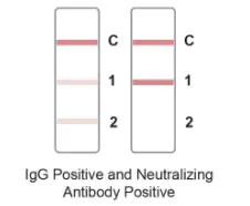 JOYSBIO G10402 SARS CoV 2 IgG Neutralizing Antibody Rapid Test Kit - NTERPRETATION OF TEST RESULTS 3