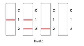 JOYSBIO G10402 SARS CoV 2 IgG Neutralizing Antibody Rapid Test Kit - NTERPRETATION OF TEST RESULTS 5