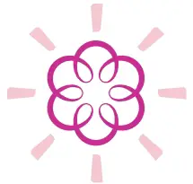 Blinking Purple System Status