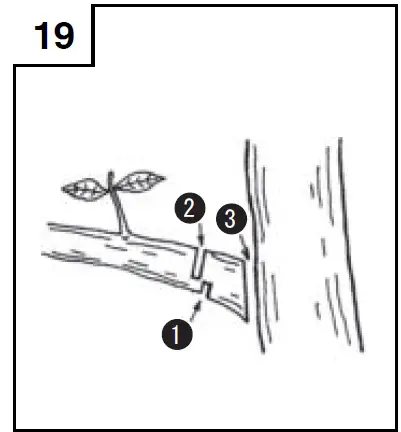 HiKOKI CS 30Y,40Y Series Electric Chainsaw 19