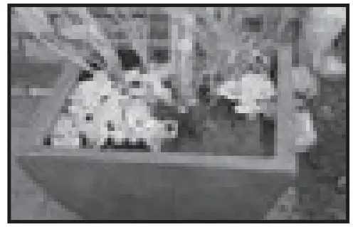 Aquascape water pump - TYPICAL INSTALLATION