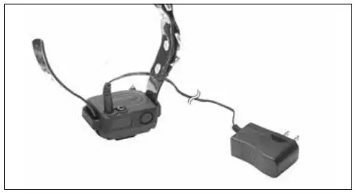 dogtra iQ VIBE No Bark Collar - CHARGING