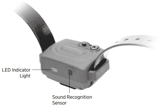 dogtra iQ VIBE No Bark Collar - LED Indicator
