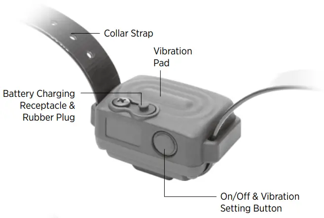 dogtra iQ VIBE No Bark Collar - Strap