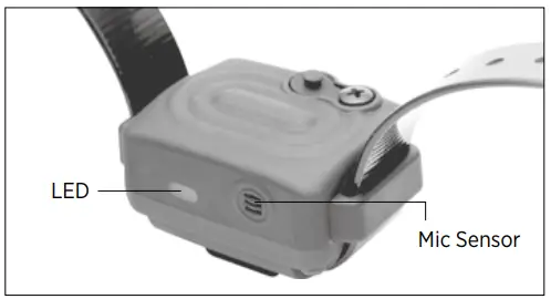 dogtra iQ VIBE No Bark Collar - TESTING