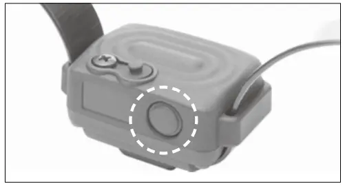 dogtra iQ VIBE No Bark Collar - TURNING