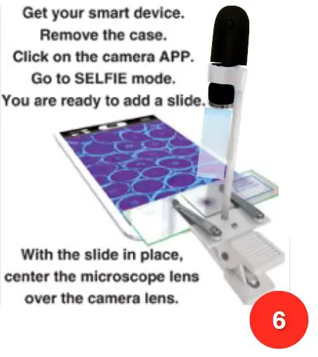 Connect microscope with mobile