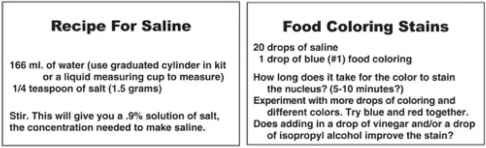Receipe for saline and food coloring stains