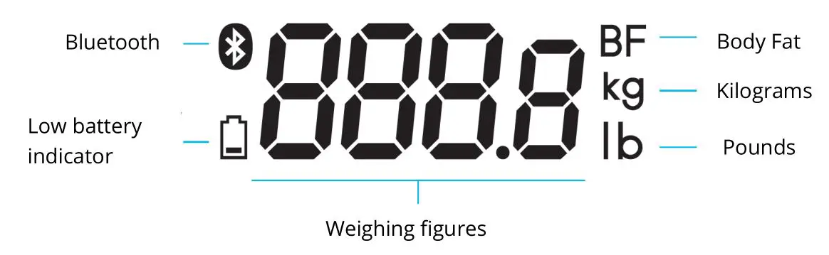 M1825 YUNMAI-X Mini 2 Smart Body Fat Scale - Display