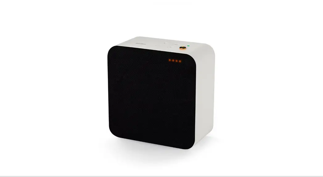 Braun Le03 Premium Hifi Audio Smart Speaker User Guide