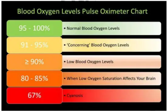 GARMIN Radatime Smart Watch - figure 1