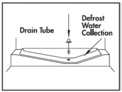 beko BCSE400E40SN Refrigerator with freezer - automatic defrosting
