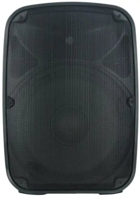 Jietao Audio TPS15 TUMAM Pro Professional Audio Speaker