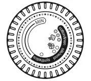 Regulating the Soleplate Temperature
