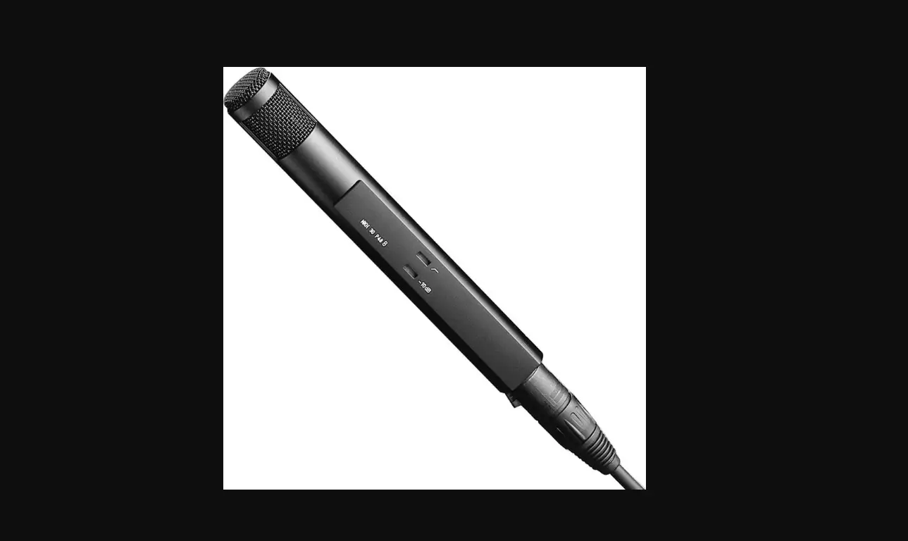 Sennheiser Mkh 30-p48 Studio Condenser Microphone Suited Instruction Manual Sennheiser Mkh 30-p48 Studio Condenser Microphone Suited Instruction Manual