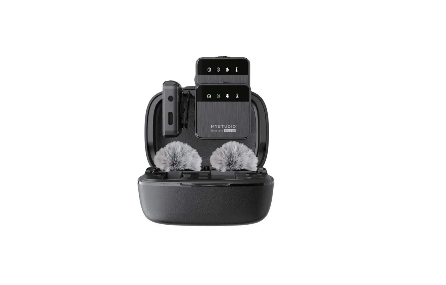 Shenzhen Hippo Digital M16dc Wireless Dual Channel Microphone System User Manual