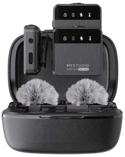 Shenzhen-Hippo-Digital-M16DC-Wireless-Dual-Channel-Microphone-System-PRODUCT