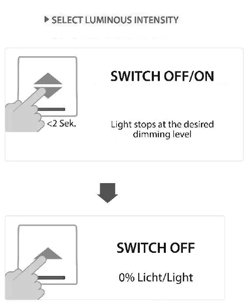 Paul-Neuhaus-8194-Ceiling-Light-fig-4