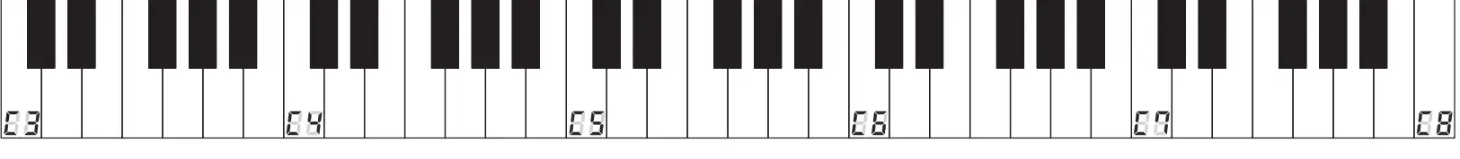 BONTEMPI 16 6110 61 Keys Electronic Keyboard - Fig19