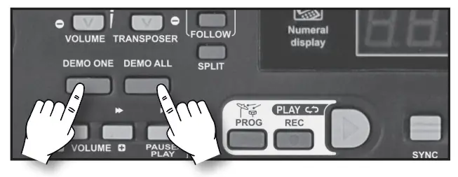 BONTEMPI 16 6110 61 Keys Electronic Keyboard - Fig5