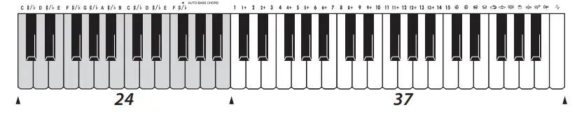BONTEMPI 16 6110 61 Keys Electronic Keyboard - Fig7