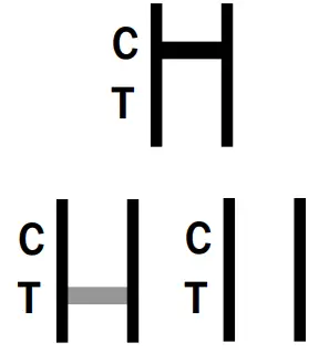 AccuBioTech-ACCU-TELL-Strep-A-Test-Cassette-02