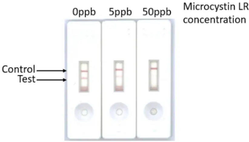 Attogene AU2024 Microcystin Lateral Flow Kit - Figure 1