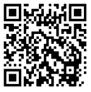 CONDUCTIX wampfler 0812 Conductor Rail System Single PowerLine - Qr Code 11